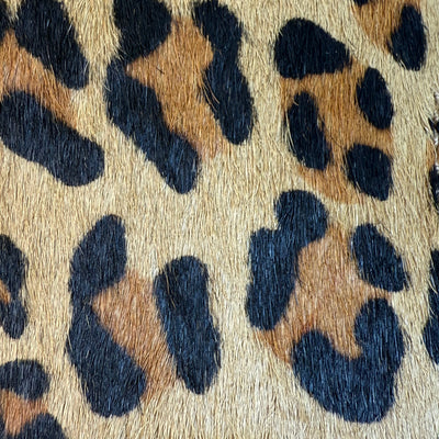 Jamel Tan Leopard