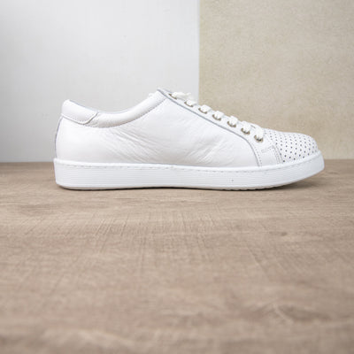 Token Perforated White