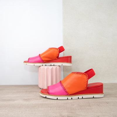 Sigma Carmine Grenedine