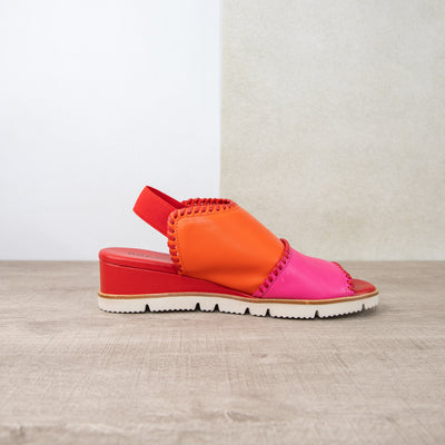 Sigma Carmine Grenedine