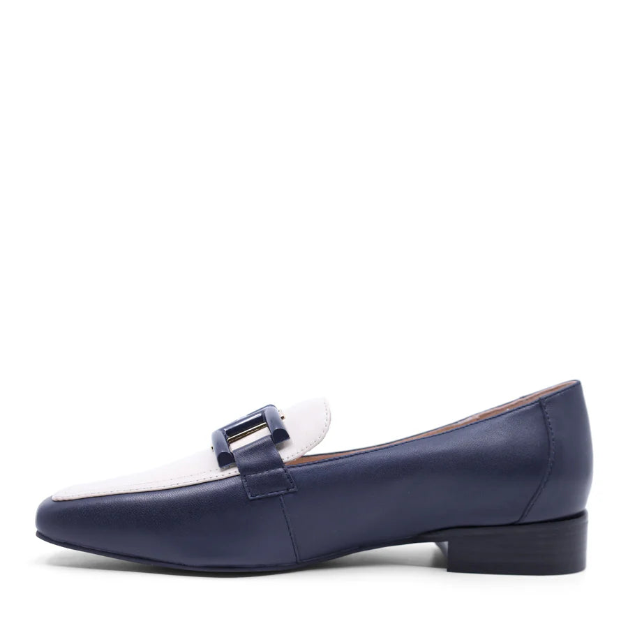 Shalom Navy/Bone
