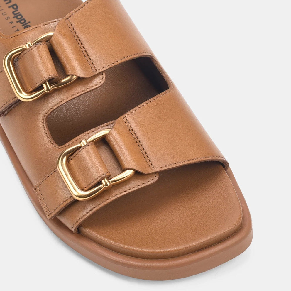 Vox Cognac