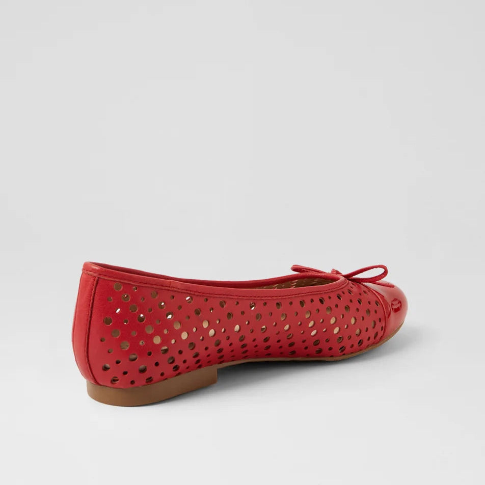 Coddla Red (XF)