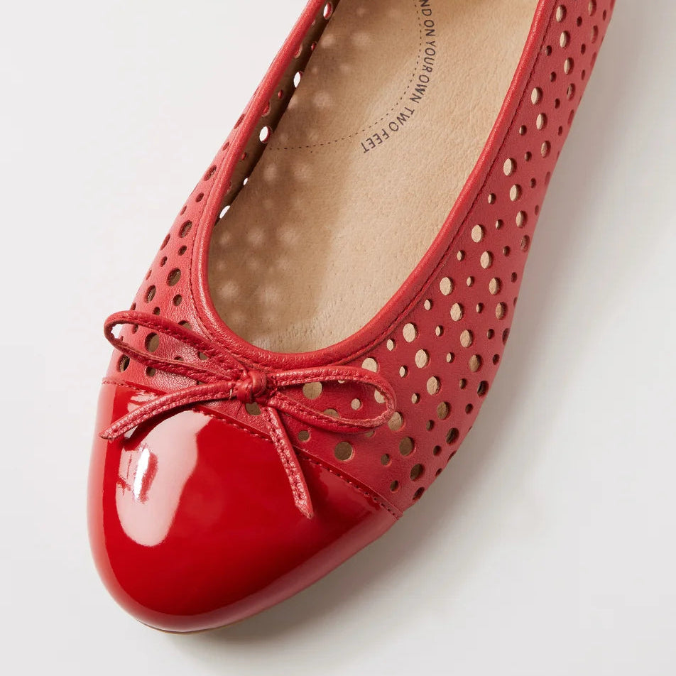 Coddla Red (XF)