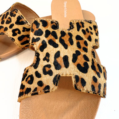 Jamel Tan Leopard