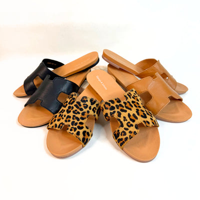 Jamel Tan Leopard